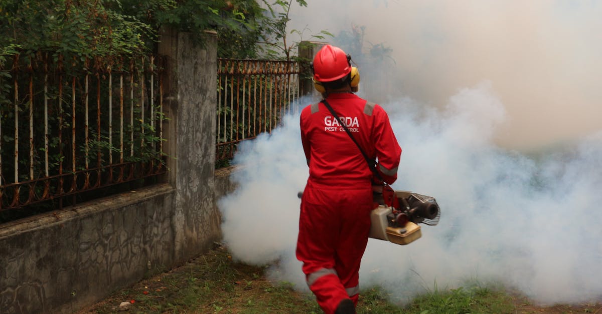 découvrez tout sur les pesticides : leur utilisation, les impacts sur la santé et l'environnement, ainsi que les alternatives durables pour une agriculture responsable. informez-vous sur la réglementation et les meilleures pratiques pour réduire les risques liés aux pesticides.