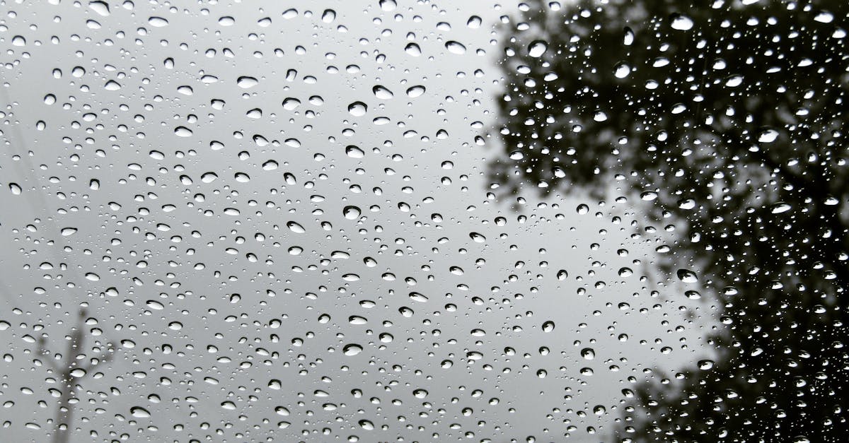 découvrez l'importance de la collecte des eaux de pluie pour un usage durable. apprenez comment récupérer et utiliser cette ressource précieuse pour l'irrigation, le nettoyage et bien plus encore. adoptez des pratiques écoresponsables et réduisez votre empreinte écologique grâce à notre guide complet sur les eaux de pluie.