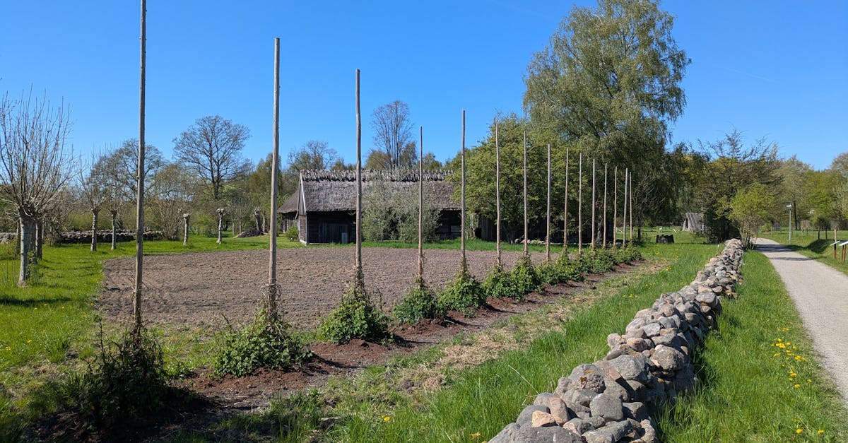 découvrez l'agriculture régénérative, une approche durable qui améliore la santé des sols, favorise la biodiversité et combat le changement climatique. apprenez comment cette méthode innovante transforme l'agriculture en créant un écosystème équilibré et productif pour les générations futures.