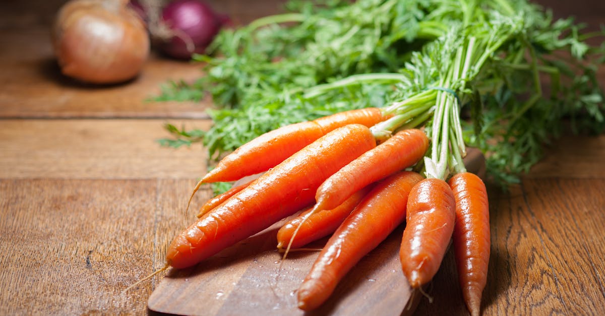 découvrez les légumes-racines : des aliments nutritifs et savoureux qui enrichissent vos plats. apprenez à les choisir, les préparer et les intégrer dans votre cuisine pour une alimentation saine et variée.