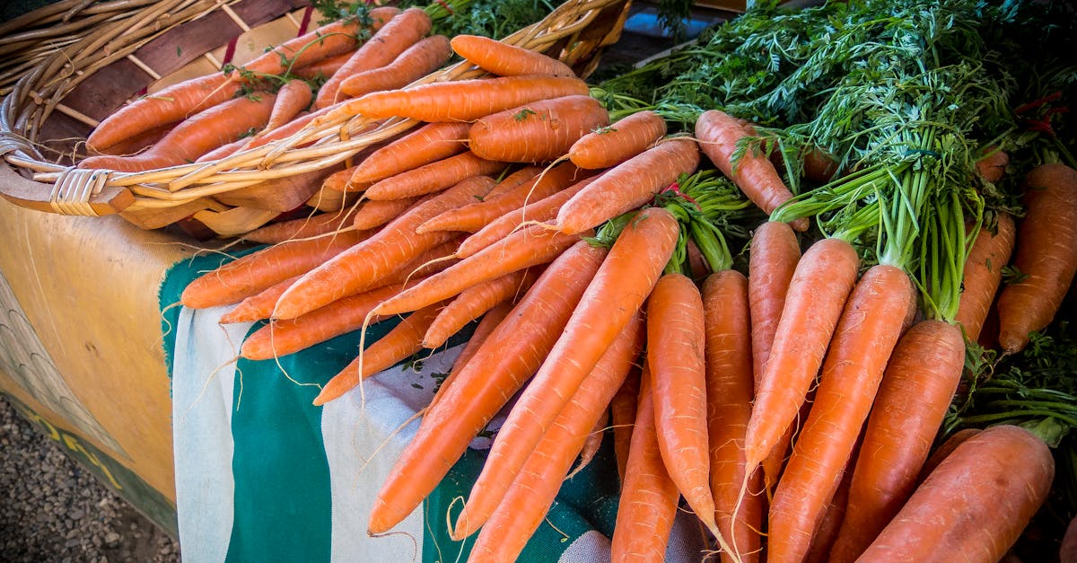 découvrez l'univers des légumes-racines, riches en saveurs et en nutriments. apprenez comment les incorporer dans vos plats, leurs bienfaits pour la santé et les recettes créatives qui les mettent à l'honneur.