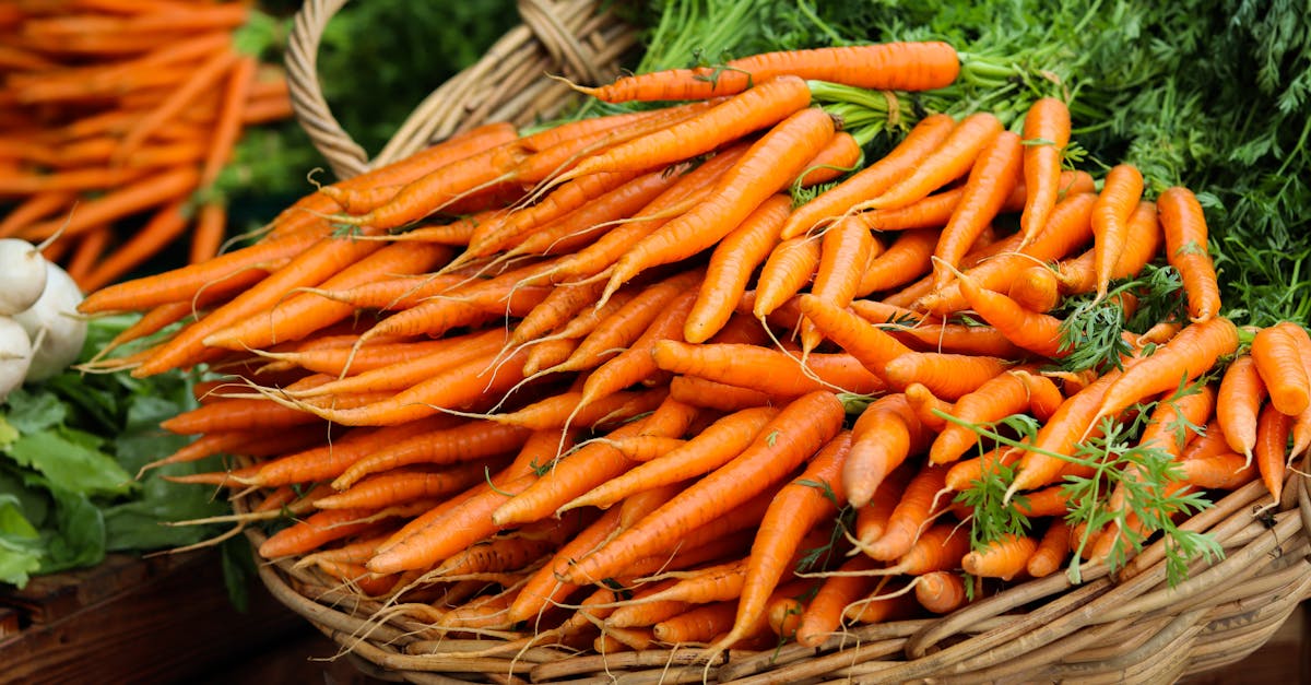 découvrez les légumes-racines : un trésor de saveurs et de nutriments. apprenez à les cuisiner et à les intégrer facilement dans vos plats pour une alimentation saine et délicieuse.