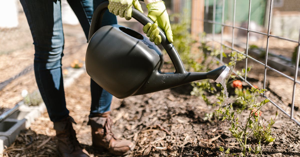 découvrez l'importance de la santé des sols pour l'agriculture durable et la préservation de l'environnement. apprenez des conseils pratiques pour améliorer la qualité du sol et favoriser une biodiversité essentielle.