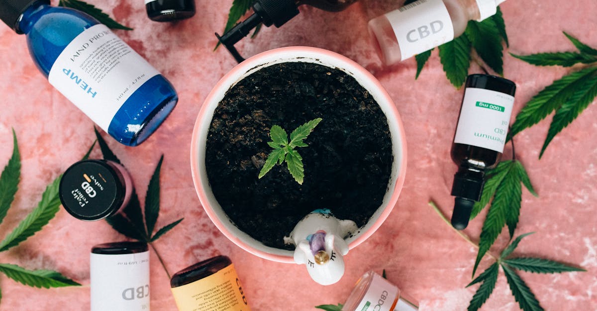 découvrez les techniques de dépollution des sols, appelées remédiation des sols, pour restaurer les terres contaminées. apprenez comment ces méthodes innovantes contribuent à protéger l'environnement et à favoriser un développement durable.