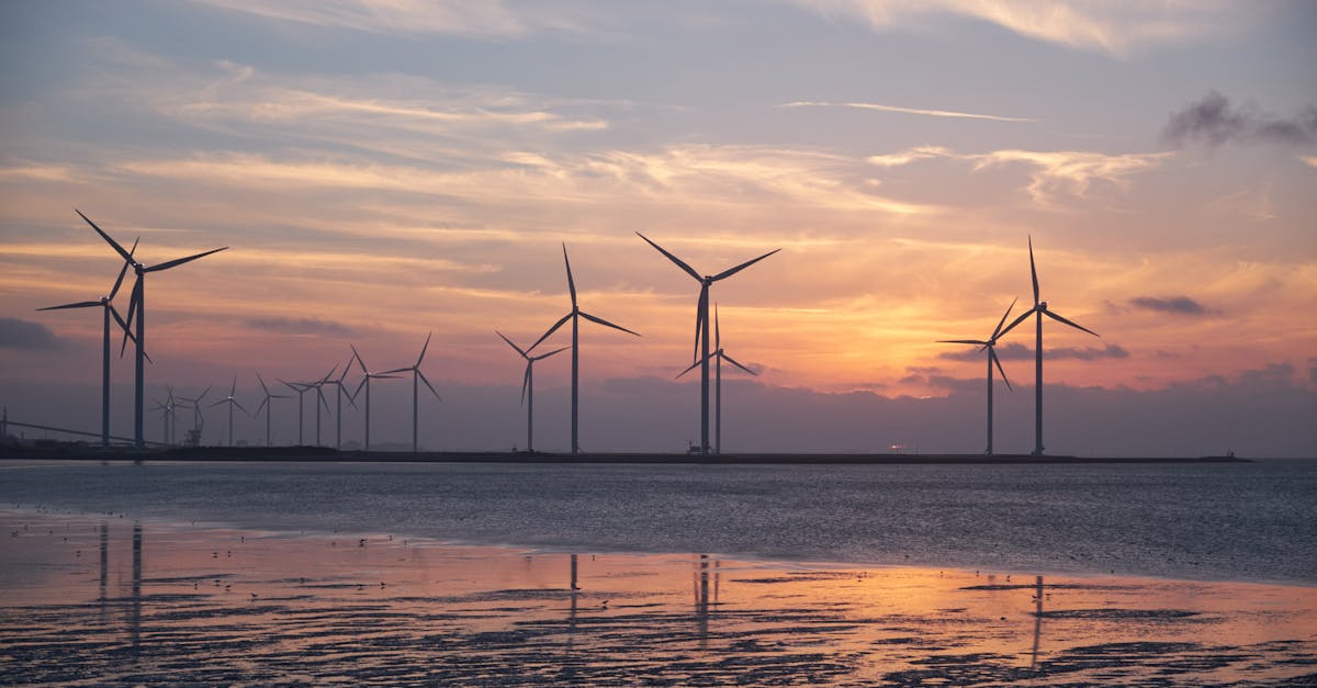 découvrez l'importance de la durabilité dans notre monde moderne. explorez des stratégies et des pratiques pour une vie durable, alliant respect de l'environnement, économie responsable et bien-être social.