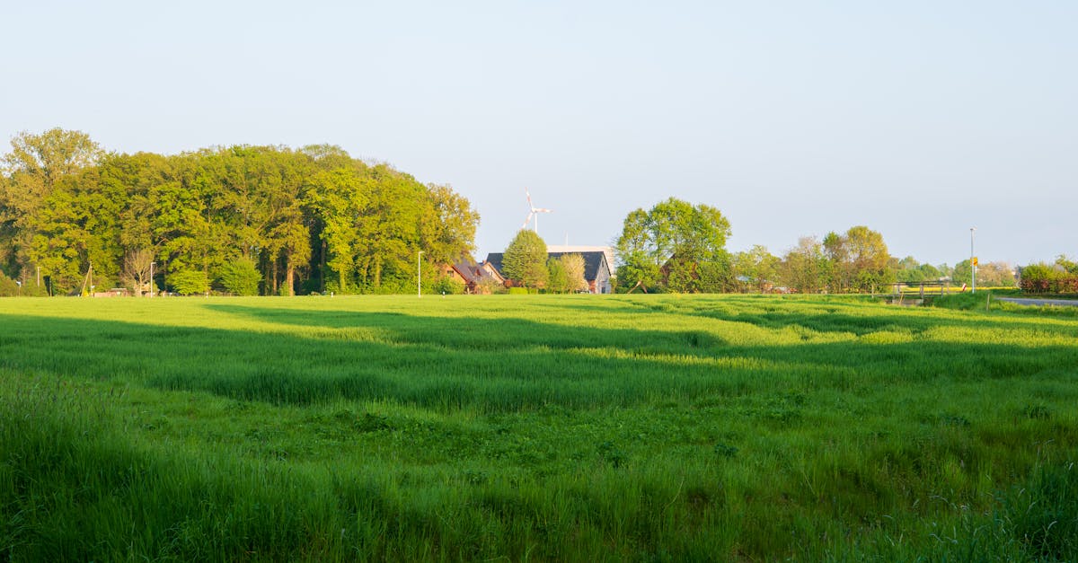 découvrez l'agriculture durable : des pratiques respectueuses de l'environnement qui préservent la biodiversité, favorisent une consommation responsable et garantissent des récoltes saines pour les générations futures.