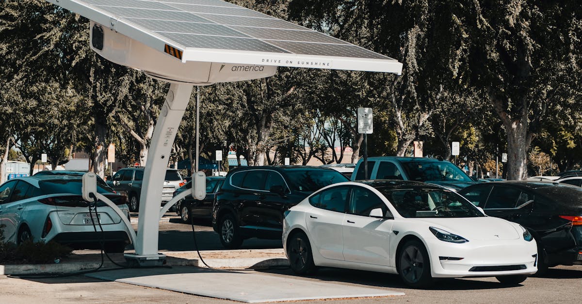 découvrez des alternatives durables pour un mode de vie éco-responsable. explorez des solutions innovantes qui préservent l'environnement tout en répondant à vos besoins quotidiens.