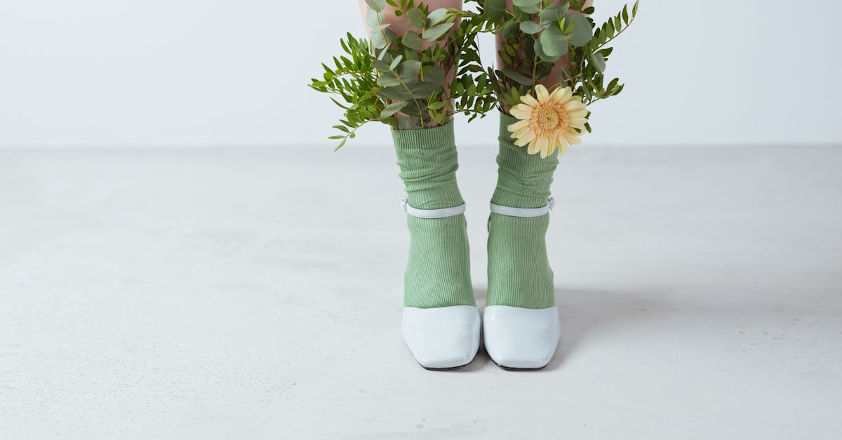 découvrez des alternatives durables pour un mode de vie éthique et respectueux de l'environnement. explorez des solutions innovantes et responsables qui réduisent votre empreinte écologique tout en améliorant votre quotidien.
