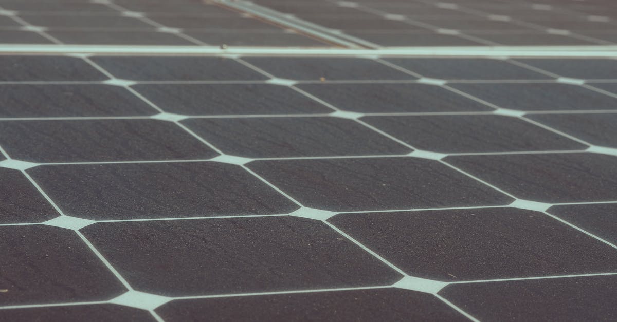 découvrez des alternatives durables qui réduisent votre empreinte écologique tout en améliorant votre quotidien. explorez des options respectueuses de l'environnement dans divers domaines, allant des produits alimentaires à la mode, et engagez-vous vers un avenir plus vert.