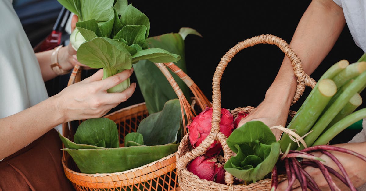 découvrez comment créer un jardin durable avec des conseils pratiques pour cultiver des plantes respectueuses de l'environnement, réduire les déchets et favoriser la biodiversité. transformez votre espace extérieur en un écosystème éco-responsable.