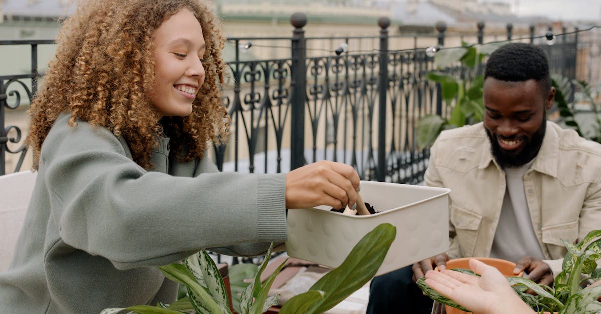 découvrez l'art du jardinage en terrasse avec nos conseils pratiques pour cultiver des plantes, légumes et herbes fraîches dans des espaces restreints. transformez votre balcon ou votre terrasse en un jardin luxuriant et productif, même en milieu urbain !