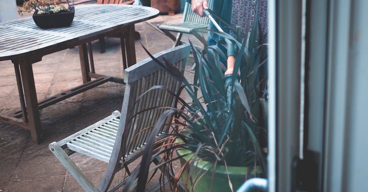 découvrez l'art du jardinage sur terrasse : astuces pour cultiver des plantes et des potagers en ville, optimiser l'espace et profiter d'un jardin luxuriant au cœur de votre chez-vous.