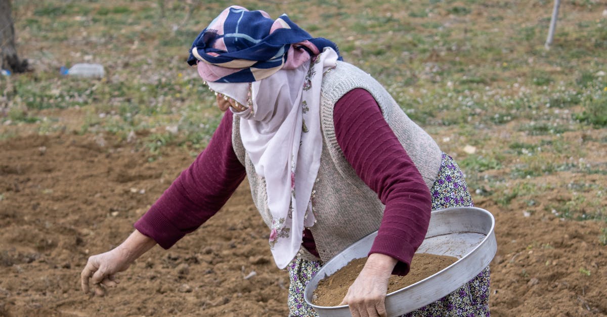 découvrez l'agriculture traditionnelle, une pratique millénaire qui valorise les méthodes écologiques, le savoir-faire local et la biodiversité. explorez ses bienfaits pour l'environnement et la qualité des aliments.