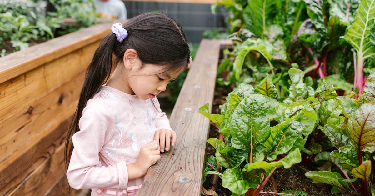 découvrez l'art du jardinage urbain : astuces et conseils pour cultiver des plantes, herbes et légumes en milieu urbain. transformez vos balcons et petits espaces en oasis vertes et profitez des bienfaits du jardinage en ville.