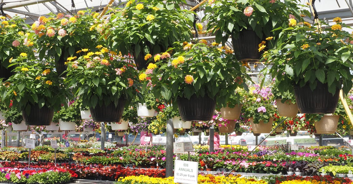 découvrez l'univers du jardinage urbain : des conseils pratiques, des idées innovantes et des techniques faciles pour cultiver vos propres légumes et plantes en ville, tout en améliorant votre espace de vie.