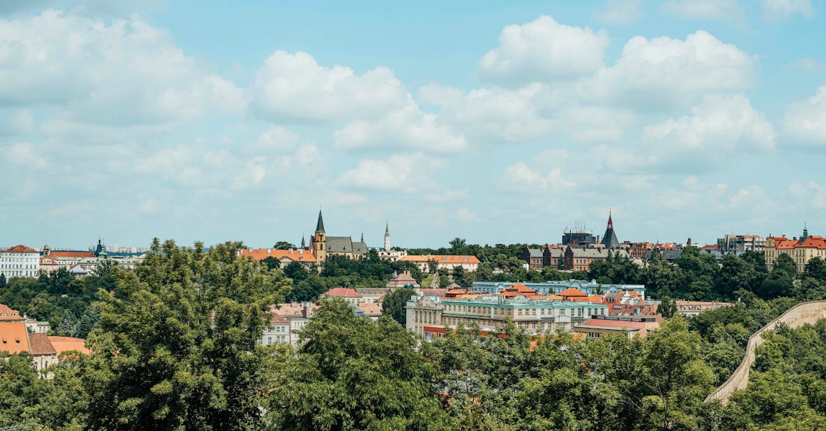 découvrez l'importance des espaces verts urbains pour le bien-être et la qualité de vie en ville. apprenez comment ces zones naturelles contribuent à la biodiversité, à la réduction de la pollution et à l'amélioration de la santé mentale des citadins.
