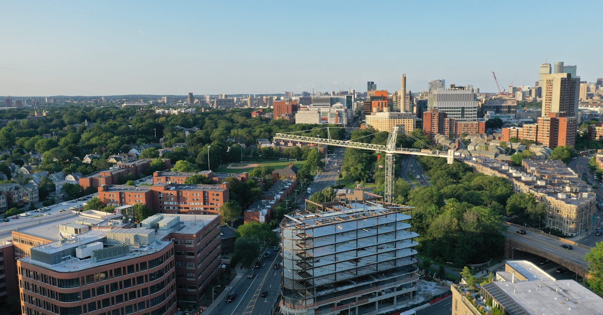 découvrez l'importance des espaces verts urbains pour améliorer la qualité de vie en ville. explorez leur rôle dans la biodiversité, la réduction de la pollution et le bien-être des habitants.