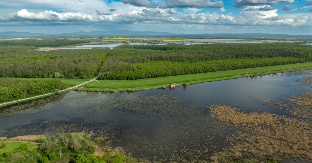 découvrez la richesse des zones humides, ces écosystèmes précieux qui abritent une biodiversité exceptionnelle et jouent un rôle crucial dans la régulation de l'eau. explorez leur importance écologique, leur beauté naturelle et les enjeux de leur préservation.