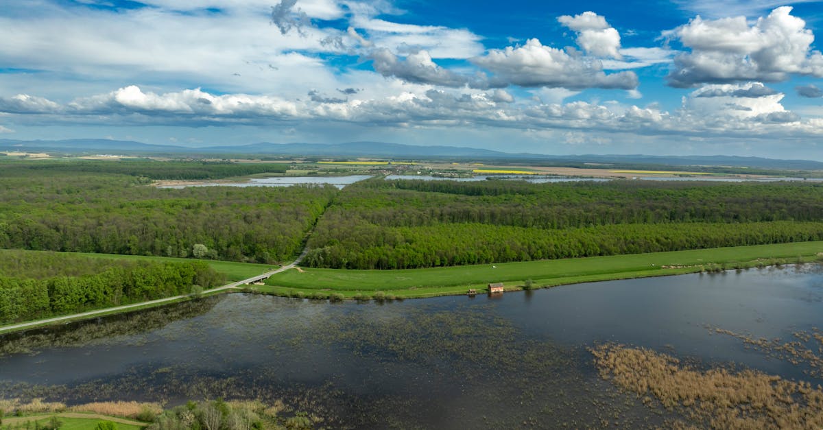 découvrez l'importance et la beauté des zones humides, ces écosystèmes essentiels pour la biodiversité, la régulation de l'eau et la lutte contre le changement climatique. explorez leur rôle vital dans notre environnement et les efforts de conservation qui visent à les protéger.